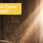 Sunlight entering a living room showing visible dust particles in the air, explaining why your house gets dusty so fast in Ottawa.